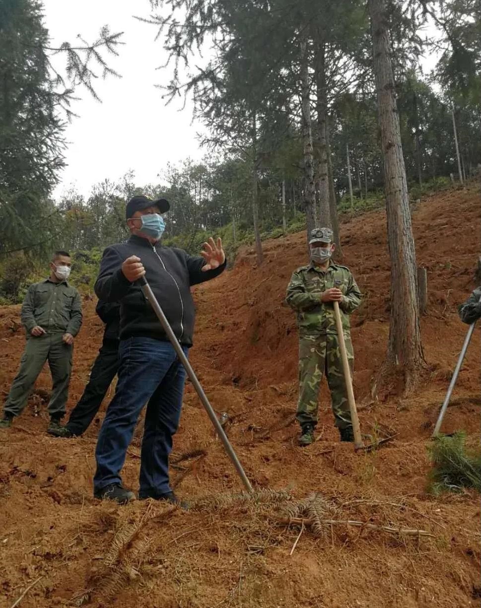 青山掛白我復綠 防疫復工添色彩 ——資源保護部義務突擊隊工作紀實