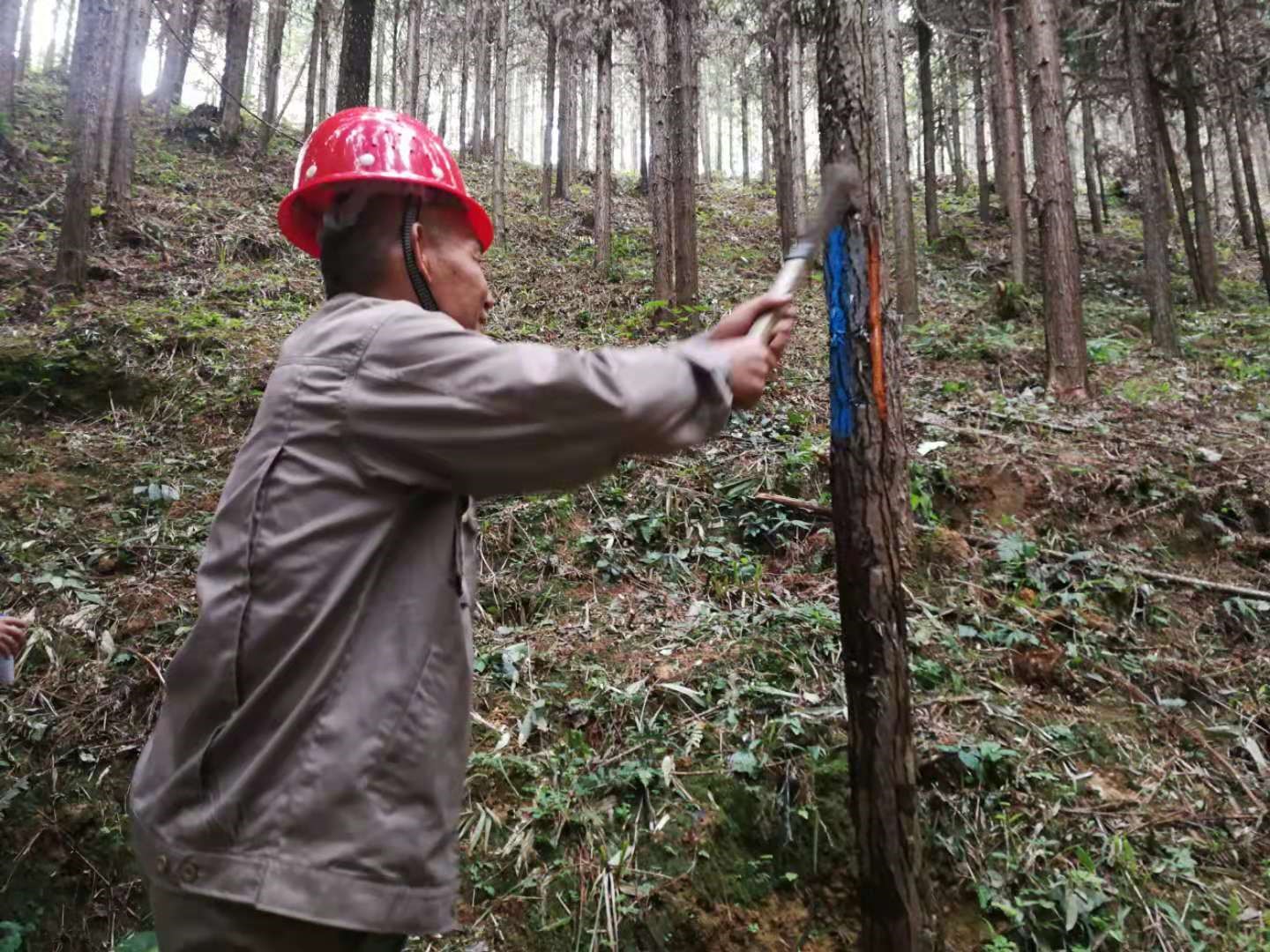 支部結(jié)對(duì)共建 促進(jìn)黨建業(yè)務(wù)“雙提升”